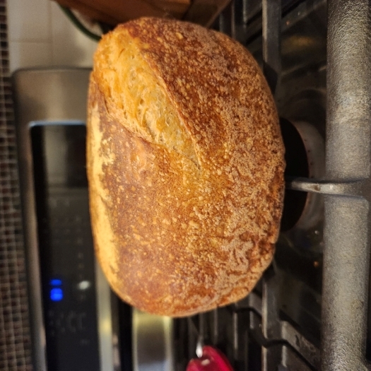 Overproofed maybe.jpg